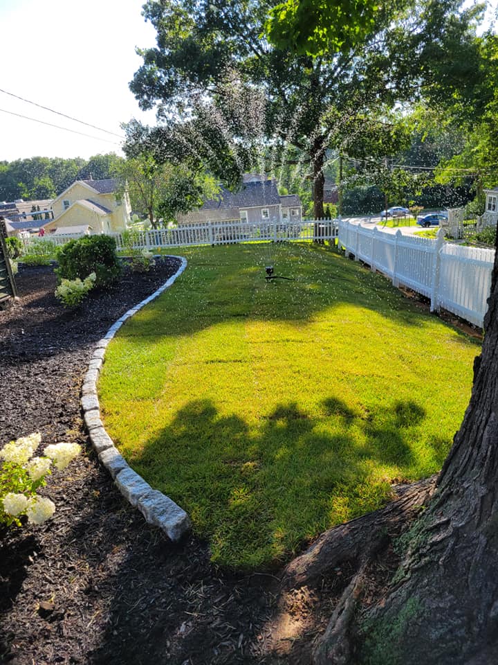 landscaping, fencing